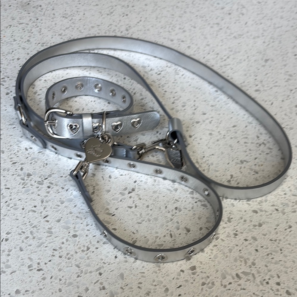 Little Beast You Mean the World To Me Collar & Leash Set